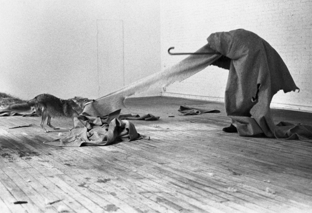 beuys_coyote_09_sized1